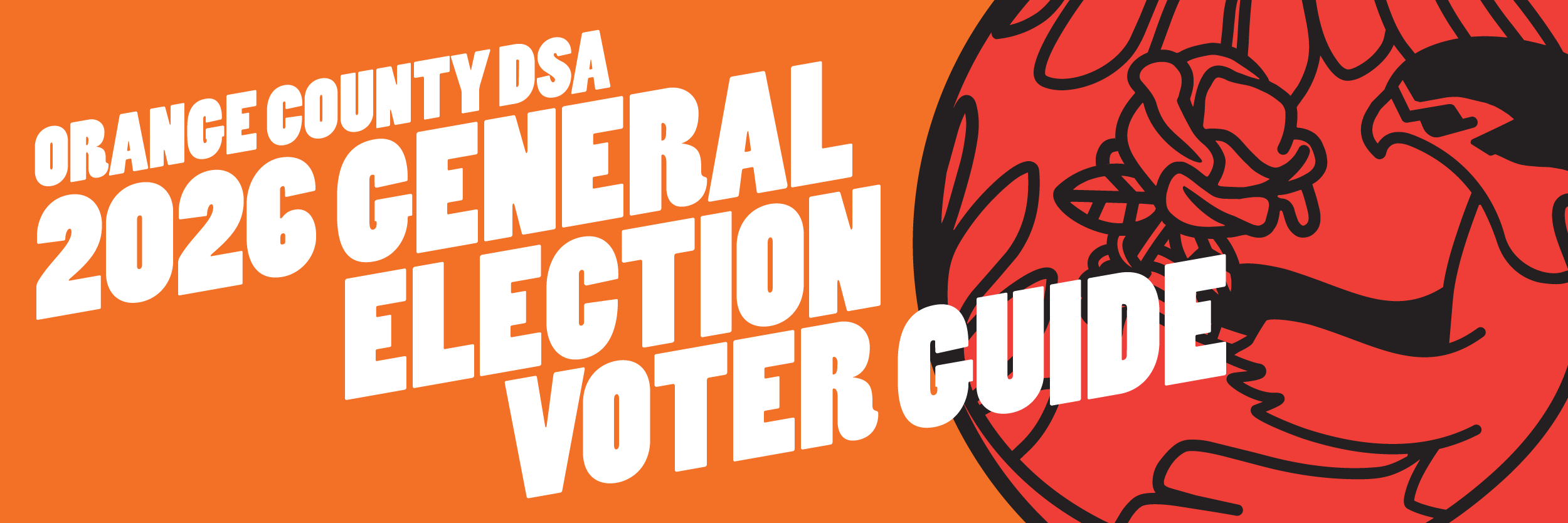 Orange County DSA General Election Voter Guide